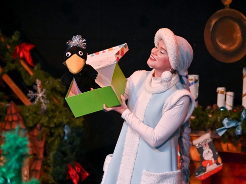 Открыта продажа на новогодние спектакли января 2026