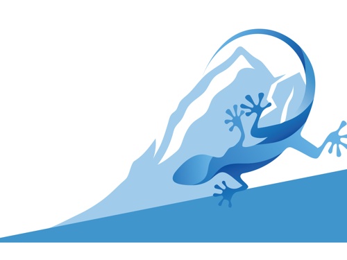 Эхо БДФ Южный Урал в Челябинске